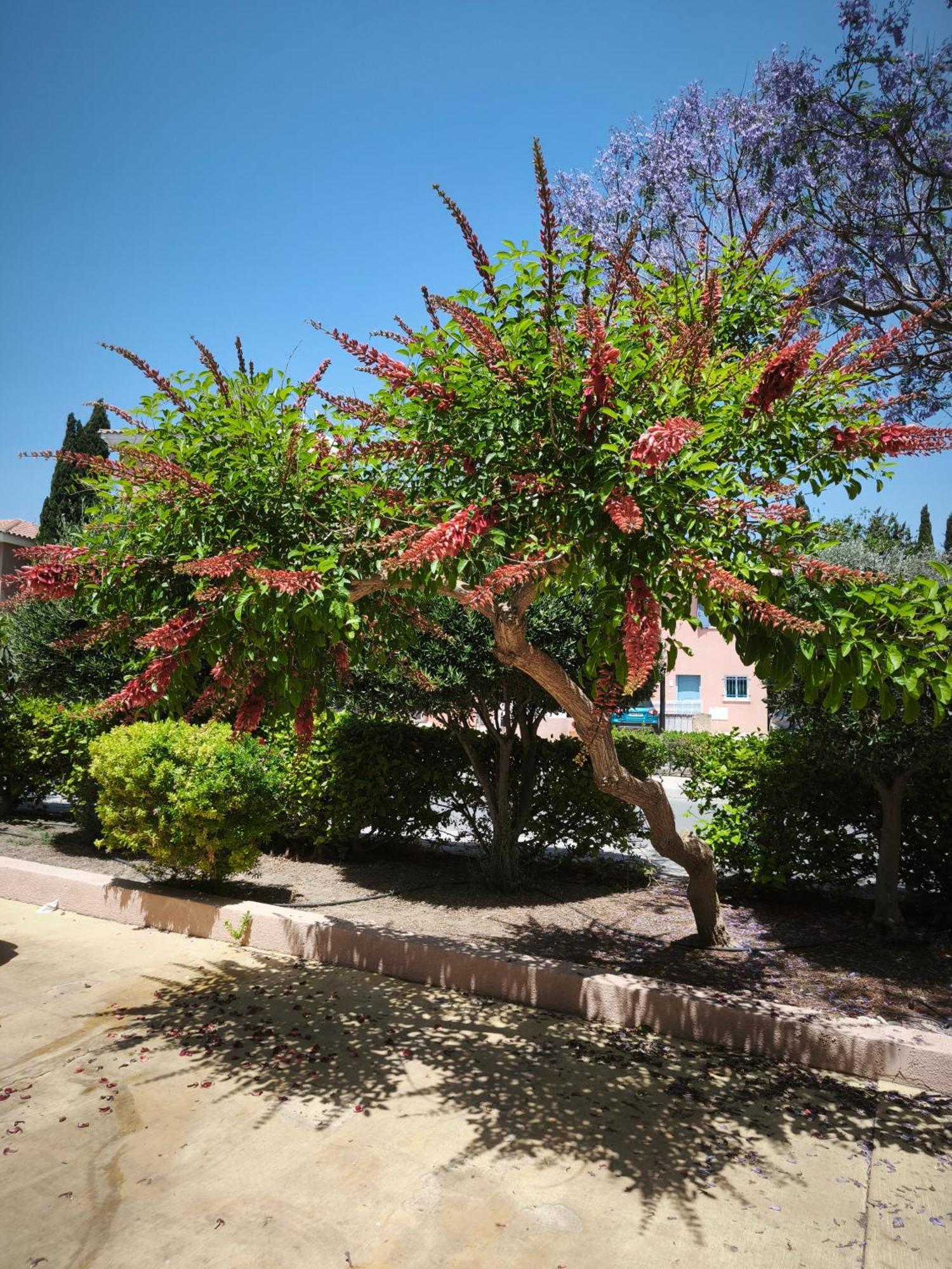 Eden Gardens Villa Пафос Екстериор снимка